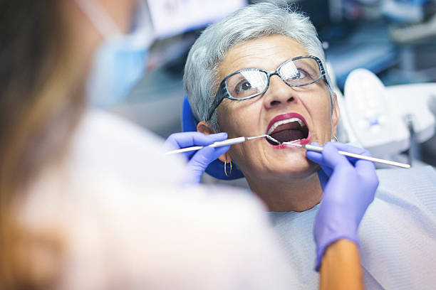 Ann Arbor, MI Dental Services Pros